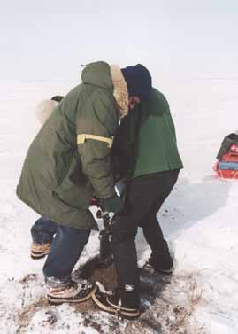 Jamie Hollingsworth and Vlad Romanovsky drilling ice cores