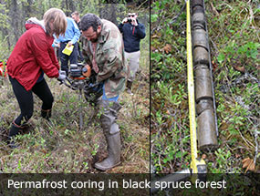permafrost coring