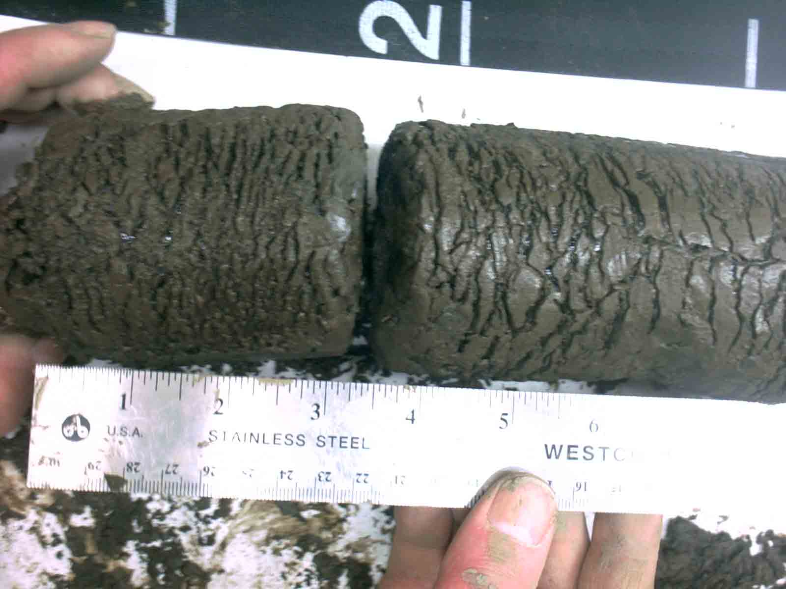 Franklin Bluffs soil core
