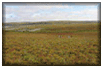 Happy Valley study site