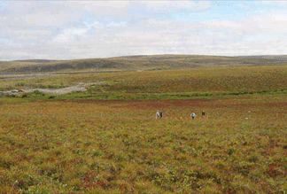 Happy Valley study site