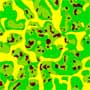 Sagwon MNT grid #1