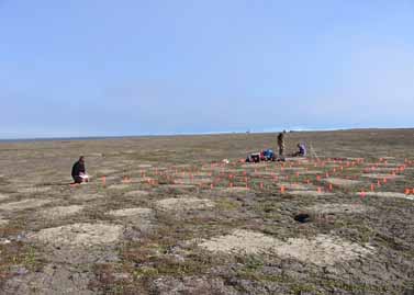 Howe Island site photo