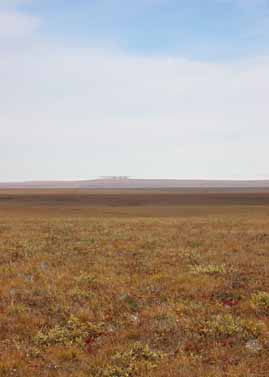 Sagwon MNT site photo