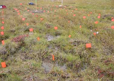 Franklin Bluffs wet grid, closeup