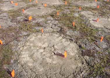 Howe Island site photo