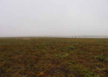 Sagwon MNT grid #1, August 2001