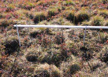 Happy Valley heaveometer #1, closeup