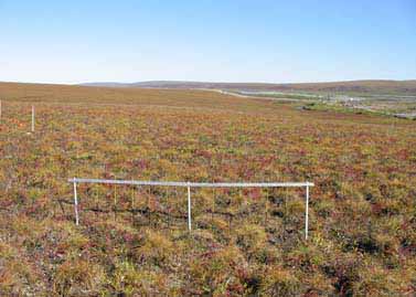 Happy Valley heaveometer #2, next to dry grid at top of slope, August 2001