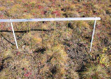 Happy Valley heaveometer #2, closeup