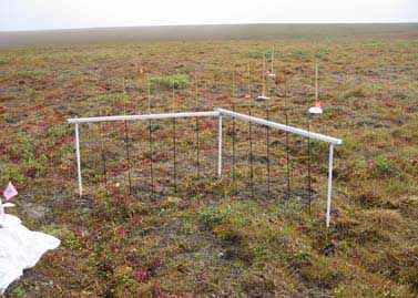 Sagwon MNT heaveometer #1, August 2001