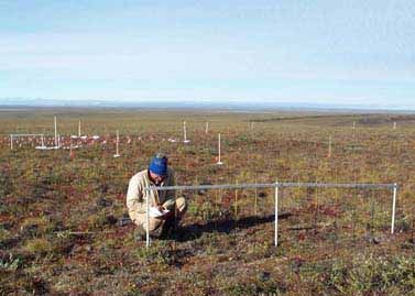 Sagwon MNT heaveometer #2, August 2001
