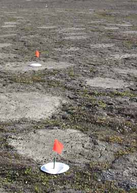 Howe Island site photo