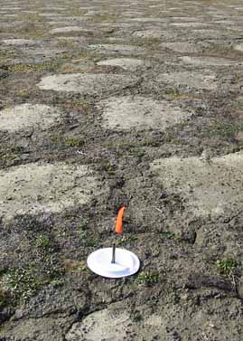 Howe Island site photo