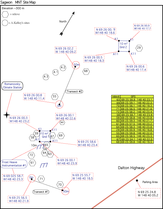 Sagwon MNT site map