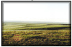 Sagwon MNT study site