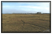 West Dock study site