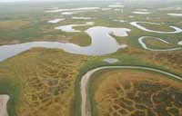 Yamal landscape between Kharasaveya and Maare Sale. Photographer: Skip Walker, 2008.