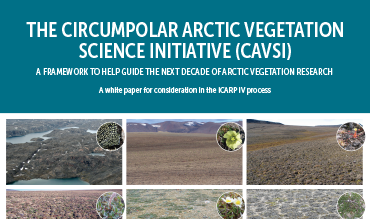 Cover image of CAVSI White Paper