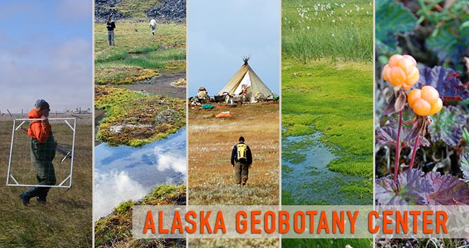 UAF Alaska Geobotany Center field work photos