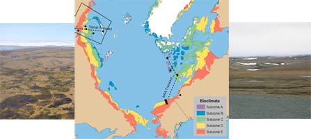 Seasonality of Circumpolar Tundra